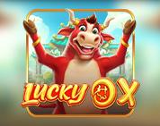 Lucky Ox